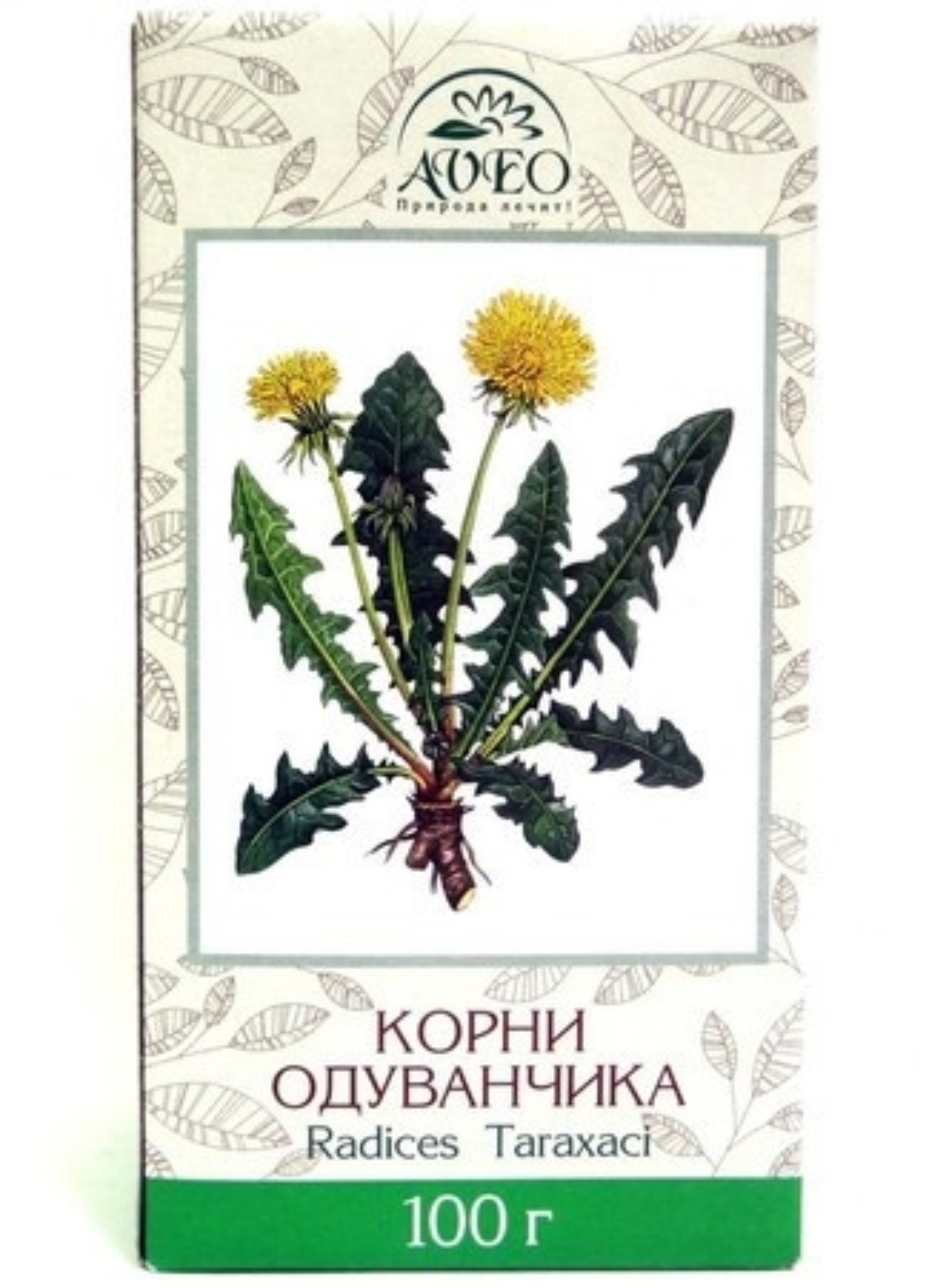 Корень одуванчика для чего. Корень одуванчика. Корень одуванчика аптека. Одуванчик лекарственный в аптеке. Одуванчика корни 100г.