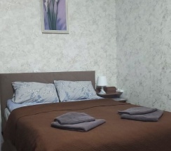 ЛЮКС 1комн., 2х мест. (№10а) в Новый континент