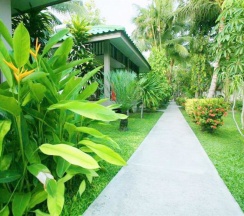 Одноместное бунгало в Lamai Inn 99 Bungalows