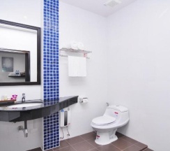 Двухместный номер Deluxe двуспальная кровать в The BluEco Hotel