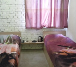 Двухместный номер Standard 2 отдельные кровати в Инкит