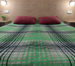 Двухместный номер с 1 двуспальной или 2 односпальными кроватями в Сэргэлээх