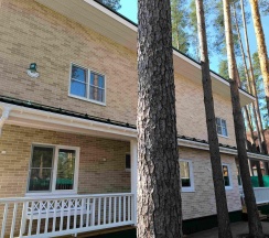 Коттедж 1 в Дача Сосновка