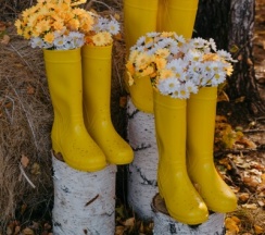 Сфера Янтарь в Holidays Forest