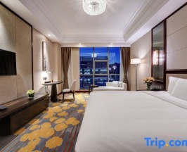 Номер Executive в Phoenix Hotel