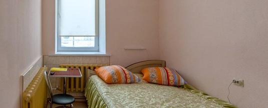 Номер эконом с 1 двуспальной кроватью в Паровозъ