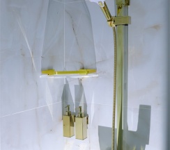 Люкс 301 в Gold City