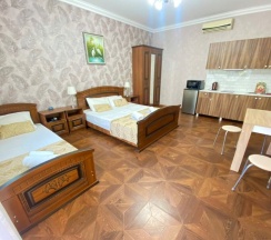 Студия 3 мест с кухней в GreenZone