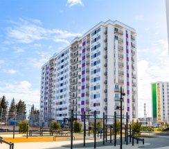 Абрикос 244 в Neoroom Service