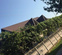 Люкс в Apsny family