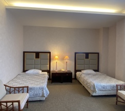 Стандартный номер двухместный в Lenina hotel