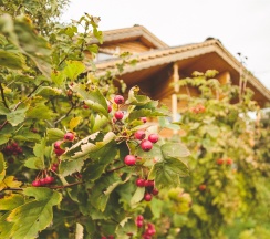 VIP-Дом в Ярославна