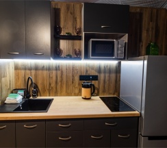 Купол «Карельский лес» в Aldi-Karelia