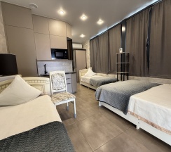 Семейный номер с двуспальной кроватью и 2 односпальными кроватями с кухней в BoxHouse