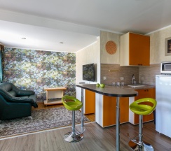 Номер студия семейный с 1 двуспальной кроватью в Villa Victoria