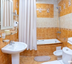 Стандарт в Снежный