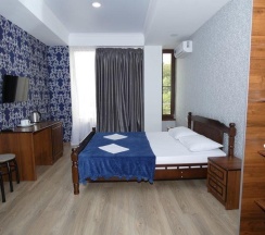 Двухместный номер Standard с балконом двуспальная кровать в Панорама