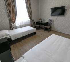 Стандарт в Петровская