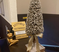 2-комнатные апартаменты улучшенные в Бестужев