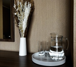 Люкс с джакузи 101 в CityHotel