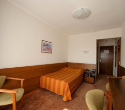 Одноместный номер Стандартный односпальная кровать в Гостиница Спутник