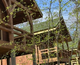 ИЗБА в Берендей