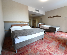 Twin Superior в Hunnu Hotel