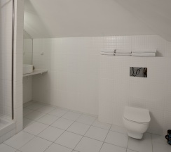 Стандартный номер с одной большой или двумя раздельными кроватями в Палаты Хованских