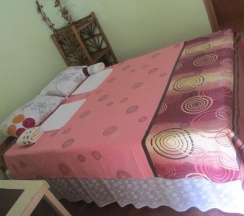 Одноместный номер Economy двуспальная кровать в Bohol Sea Breeze Cottages & Resort