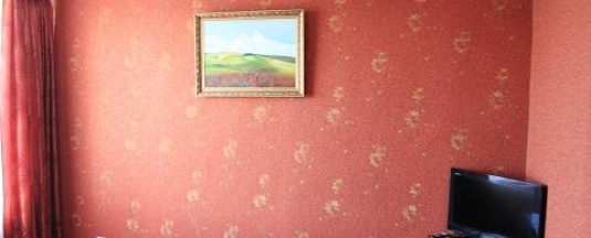 Номер люкс с 1 двуспальной кроватью в Elephant