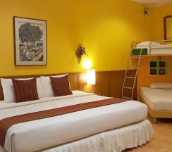 Люкс семейный Big Bee в Birds and Bees Resort
