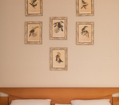 Семейный номер 2-х комнатный 4-х местный в Жемчуг