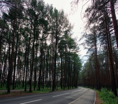 4-местный номер люкс в Радуга