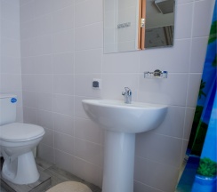 Стандарт ком. №6 в Золотой Лев