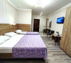 Номер Standard в Camelia