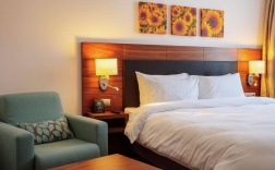 Номер стандарт с 1 двуспальной кроватью в Hilton Garden Inn Krasnodar