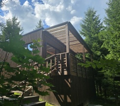 FOREST HOUSE  Локация КП "ЧЕРНИЧНОЕ" в Черничный склон