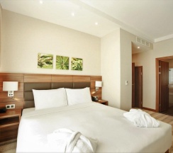 2-комнатный номер люкс с 1 двуспальной кроватью в Hotel Moscow Krasnoselskaya