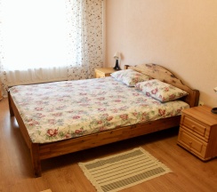 Номер эконом с 1 двуспальной кроватью в Спас-Каменка