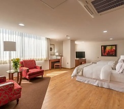 Двухместный Люкс Master (двуспальная кровать) в Suites Perisur Apartamentos Amueblados