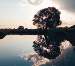 Кемпинг 1 в Вишня