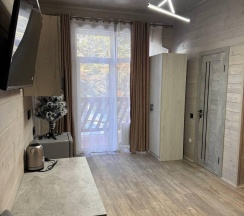 Номер люкс комфорт в Экосфера