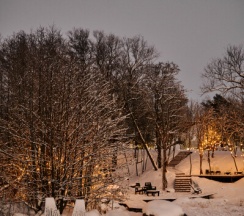 Глэмп №1 с видом на деревья и залив в Vyborg Bay