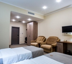 Двухместный стандарт  1 категории в Жемчужина Белокурихи