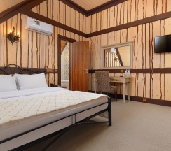 Номер Люкс двухуровневый корпус "Башенки" в Горячие ключи