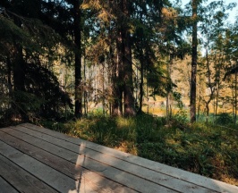 Мини №1 в Котопельто