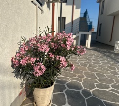 Двухуровневый ПОЛУЛЮКС с зоной отдыха на крыше и видом на море в Santorini Family Club