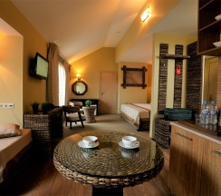 Апартаменты в Hotel La Terrassa