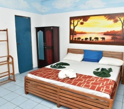 Двухместный номер Standard двуспальная кровать в Hotel Happy Tuna