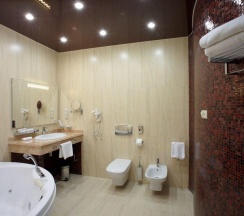 Номер люкс с 1 двуспальной кроватью в Imperial Resort&SPA